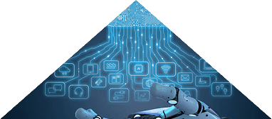 Comprehensive Range of Services